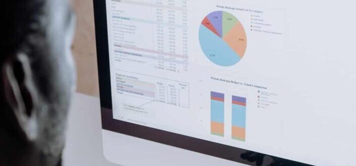 person looking at graph in computer