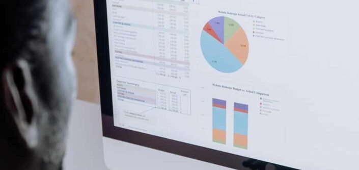 man looking at statistics on laptop screen
